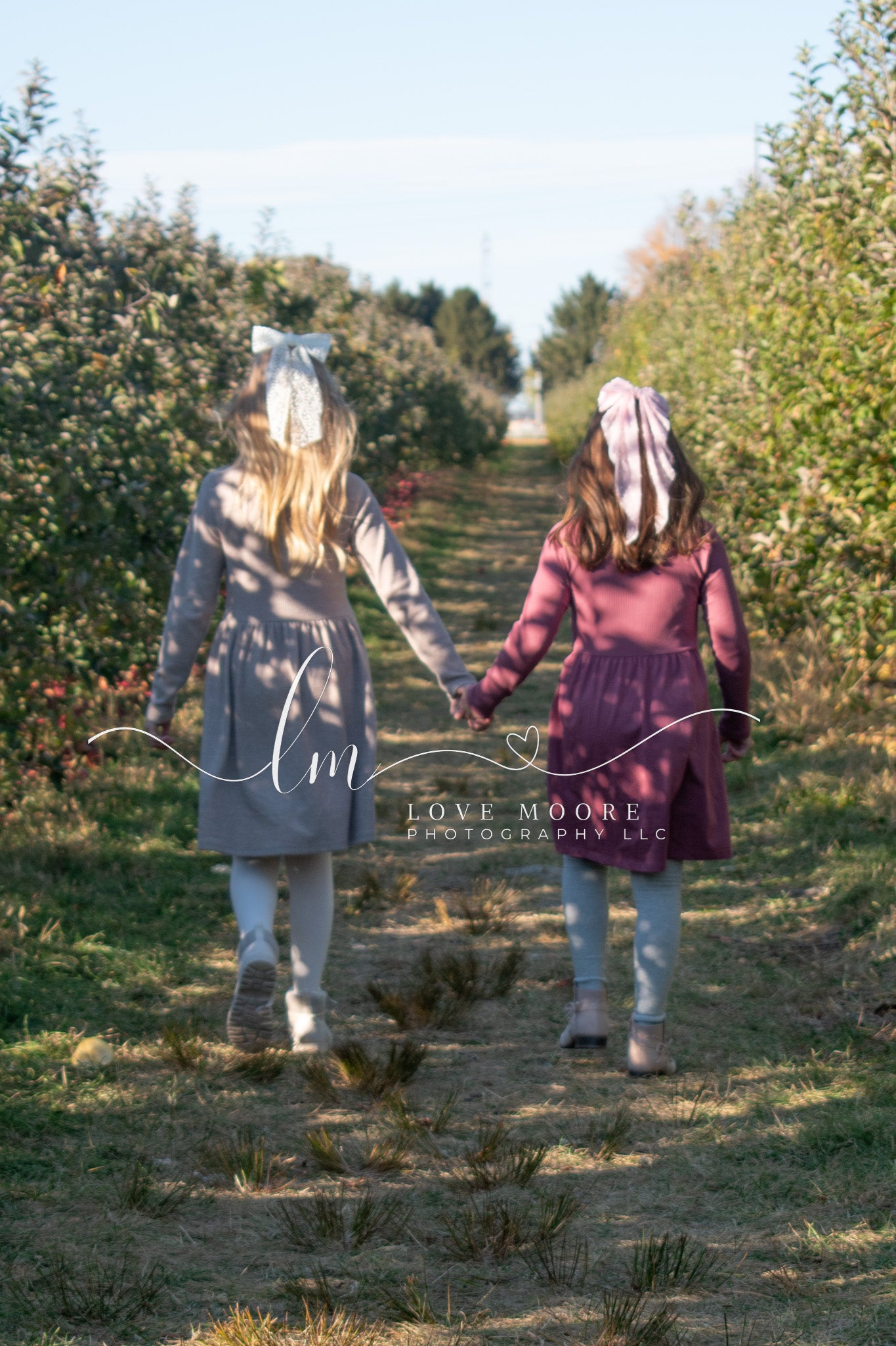 Fall Mini-Session