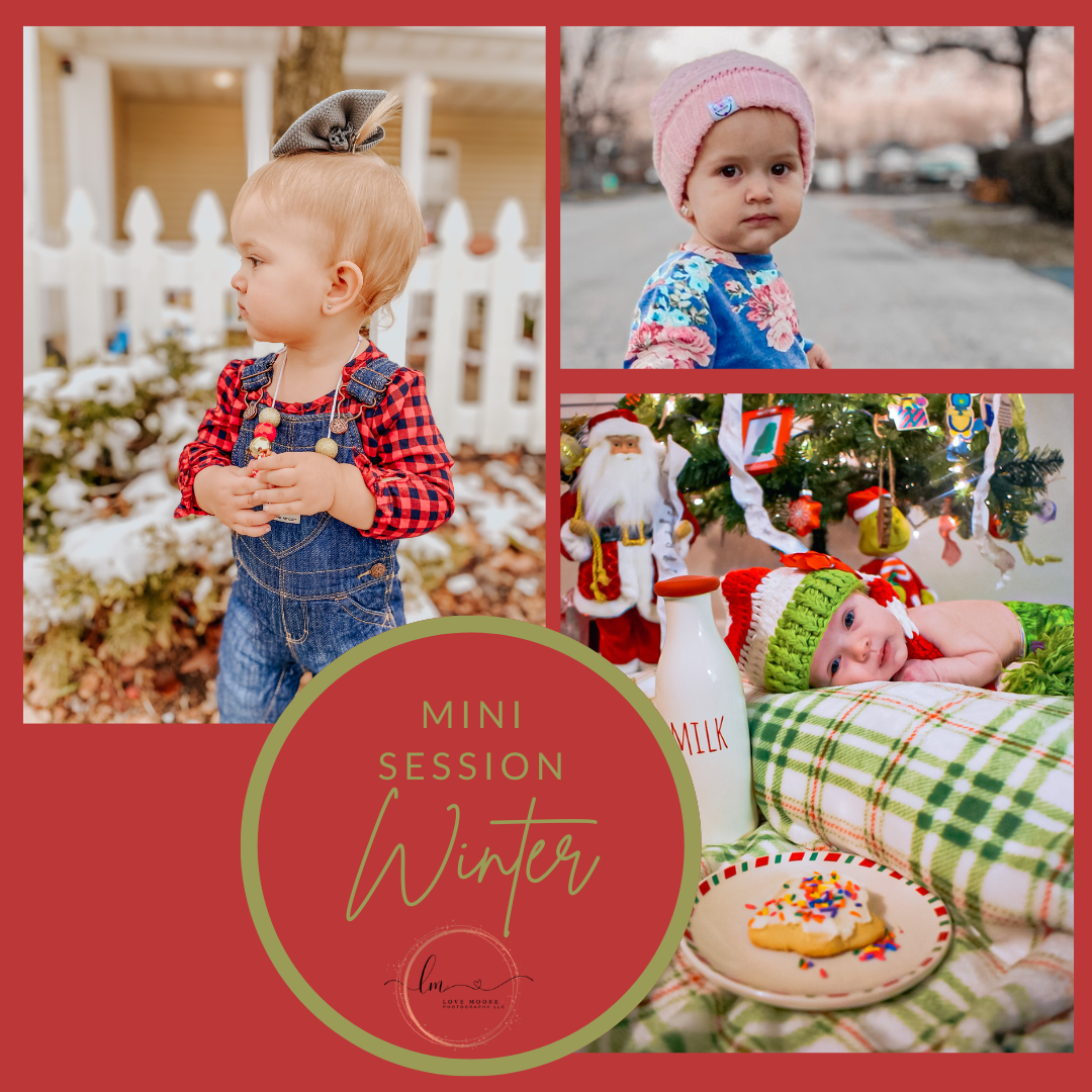 Winter Mini-Sessions